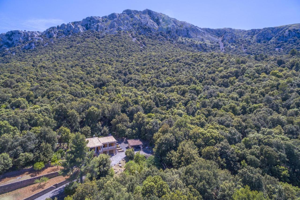 Sa Tramuntana Vakantiehuis
